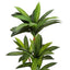 51" Tall, Artificial Plant, Dracaena Tree, Indoor, Faux, Fake, Floor, Greenery, Potted, Real Touch, Decorative - Green / Black