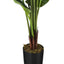 59" Tall, Artificial Plant, Strelitzia Tree, Indoor, Faux, Fake, Floor, Greenery, Potted, Real Touch, Decorative - Green / Black