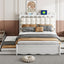 Storage Platform Bed, With 2 Big Drawers, Trundle, One Set Of Sockets & USB Ports