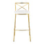 Modern Charlotte - Contemporary Fixed Height Barstool (Set of 2)
