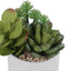 Artificial Succulent Plants (Set of 2)