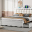 Storage Platform Bed, With 2 Big Drawers, Trundle, One Set Of Sockets & USB Ports