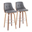 Gianna - Mid Century Modern Fixed Height Barstool With Swivel With Round Footrest (Set of 2)