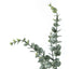 44" Tall, Artificial Plant, Eucalyptus Tree, Indoor, Faux, Fake, Floor, Greenery, Potted, Real Touch, Decorative - Green / Black