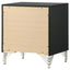 Malcolm - 2 Drawer Nightstand - Black