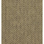 Earth - 7'10" X 10'3" Indoor, Outdoor Area Rug - Black, Natural