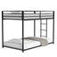 Adam - Bunk Bed