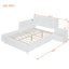 Platform Bed With Multi Functional Storage Space, Nightstand, 2 Drawers, USB Ports And Desk