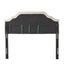 Charismatic - Size Headboard With Button Tufting And Nailhead Trim