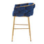Modern Counter Stools (Set of 2)