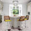 Trevi - Mid Century Modern Adjustable Barstool With Swivel