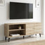 Amidon - TV Stand, With 2 Storage Shelves And 1 Cabinet