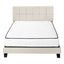 Queen Size Bed, Upholstered, Transitional - Beige