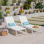 Myers - Modern Chaise Lounge Set With Adjustable Back