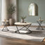 Emery - 3 Piece Occasional Set (1 Coffee & 2 End Tables) - White / Black