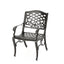 Luminea - Outdoor Aluminum Dining Chair With Scroll Design, Lattice Pattern And Cabriole Legs - Bronze
