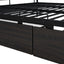 Contemporary Bunk Bed