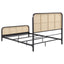Randall - Bed