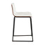 Mason Mara - Contemporary Fixed Height Quality Counter Stool (Set of 2)