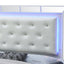 Elegant Modern Contemporary Bed