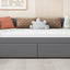 Upholstered Daybed With Ergonomic Design Backrest