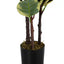 47" Tall, Artificial Plant, Oak Tree, Indoor, Faux, Fake, Floor, Greenery, Potted, Real Touch, Decorative - Green / Black
