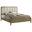 Tully - Queen Bed - Nutmeg Brown