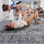 Marfi - Trendy Oriental Rug