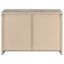 2 Door Accent Cabinet With Accents - Gray
