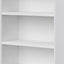 Banting - Mid Century Handcrafted Bookcase