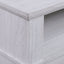 Terra - TV Stand Console With Fireplace - White Walnut