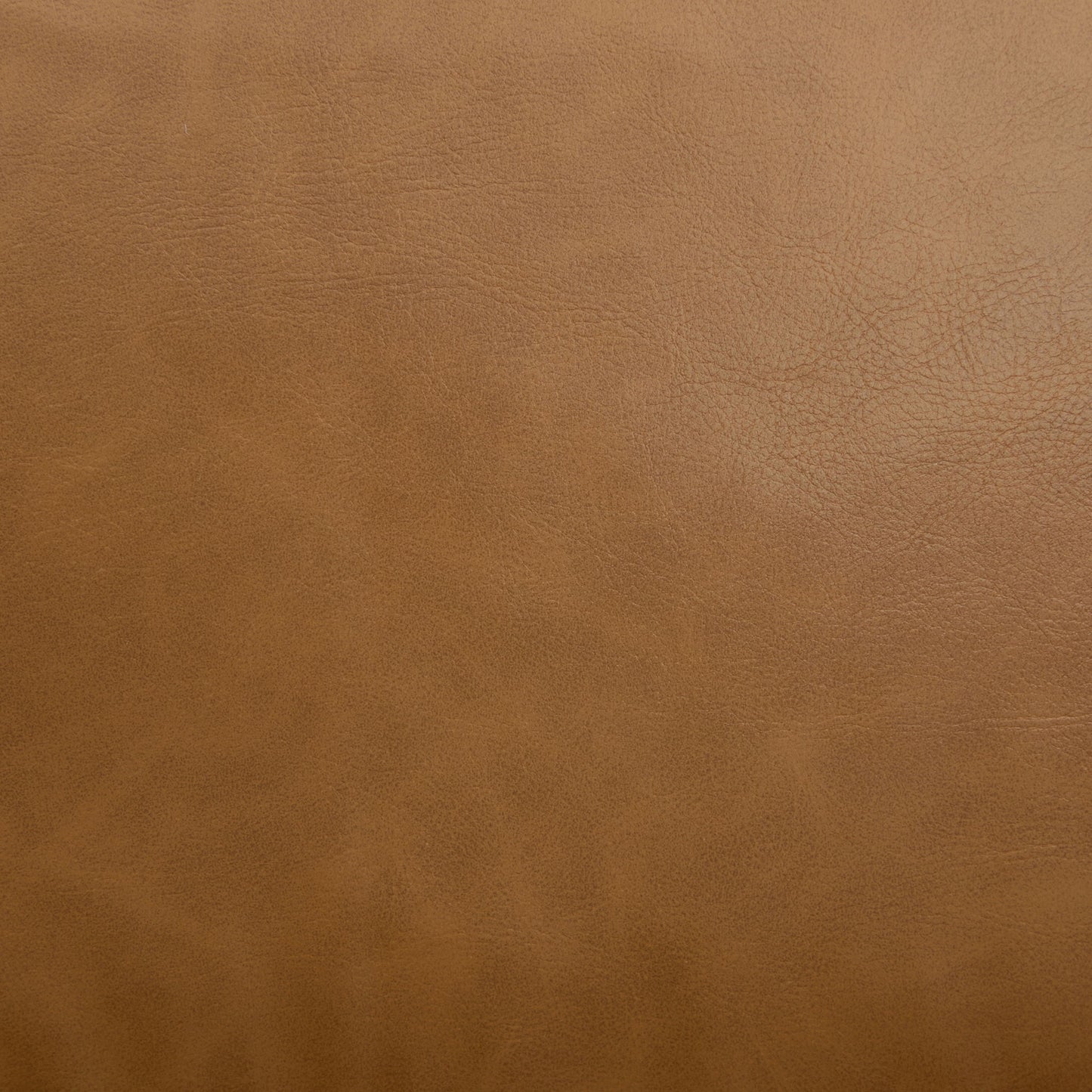 Stylish Club Armchair For Living Room