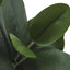 31" Tall, Artificial Plant, Garcinia Tree, Indoor, Faux, Fake, Floor, Greenery, Potted, Real Touch, Decorative - Green / White