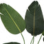 44" Tall, Artificial Plant, Bird Of Paradise Tree, Indoor, Faux, Fake, Floor, Greenery, Potted, Decorative - Green / Black