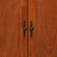 Elegant Traditional Armoire
