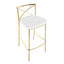Modern Charlotte - Contemporary Fixed Height Barstool (Set of 2)