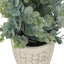 Artificial Eucalyptus Grass (Set of 2)