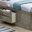 Modern Design Storage Bed With Bookcase Headboard