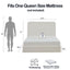 Canter - Tall Headboard Upholstered Bed