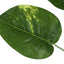 54" Tall, Artificial Plant, Dieffenbachia Tree, Indoor, Faux, Fake, Floor, Greenery, Potted, Real Touch, Decorative - Green / Black