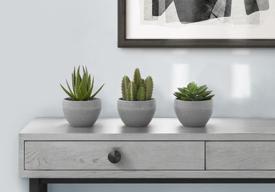 Artificial Succulent Plants (Set of 3)