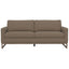Contemporary Design Sofa
