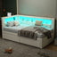 Upholstered Platform Bed With USB Ports And LED Belt