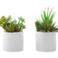 Artificial Succulent Plants (Set of 2)