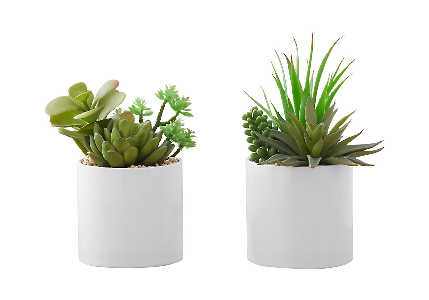 Artificial Succulent Plants (Set of 2)