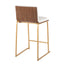 Mason Mara - Contemporary Design Fixed Height Counter Stool (Set of 2)
