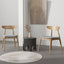 Ergonomic Back Dining Chairs (Set of 2)