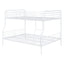 Contemporary Bunk Bed