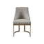 Contemporary Modern Accent Dining Chairs (Set of 2)