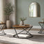Emery - 3 Piece Occasional Set (1 Coffee & 2 End Tables) - White / Black